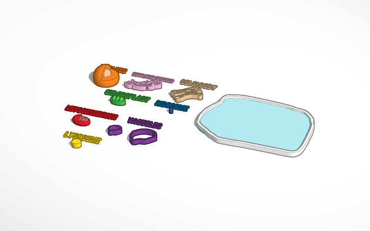 Student Copy Of Animal Cell Construction Kit Tinkercad